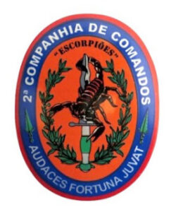2nd Command Company - Mozambique