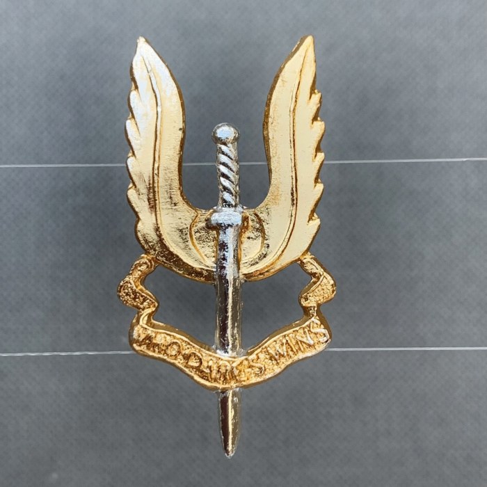 Rhodesian Rhodesia C Squadron SAS Special Air Service Beret Badge 1961 1980 1 w 1