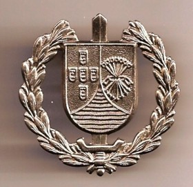 GEP Beret Badge