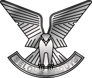 selous scouts logo 2003221C5C seeklogo.com