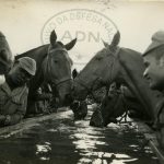 Dragoons, Cavalry Squadron, from Silva Porto, in the district of Bié.