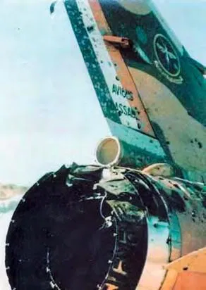 When Carlo Gagiano formed up with Mirage 206 during their return, he advised: “Arthur, you've had your tail feathers ruffled.”This close-up view shows those ‘ruffled feathers’