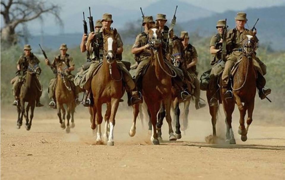sadf and swatf berede horse mounted south african troopies angola border war galil r4